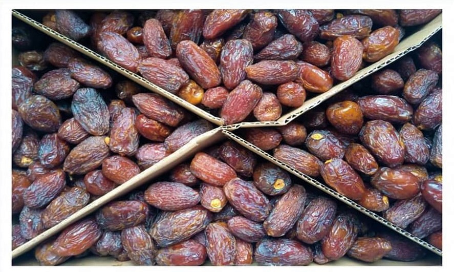 midjul premium jambo size